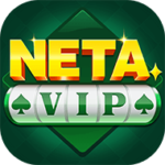 NETA VIP slots